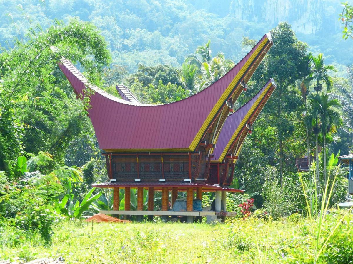 Toraja Torsina Hotel รานเตเปา ภายนอก รูปภาพ